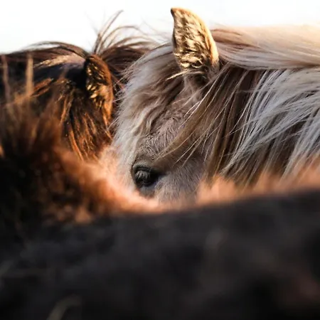 Apartment Levin Alppitalot Alpine Deluxe *