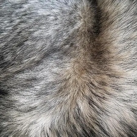 列文阿尔皮塔罗高山小屋豪华公寓 公寓 列维