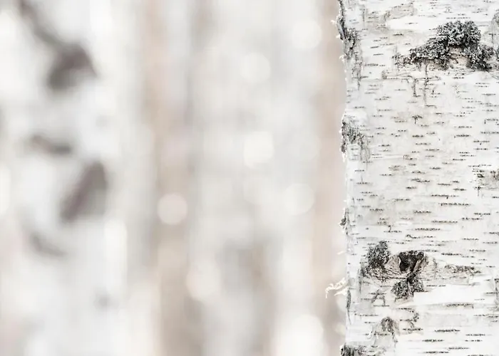 Levin Alppitalot Alpine Deluxe Lägenhet *