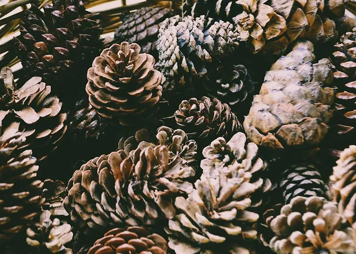 Levin Alppitalot Alpine Deluxe Lägenhet