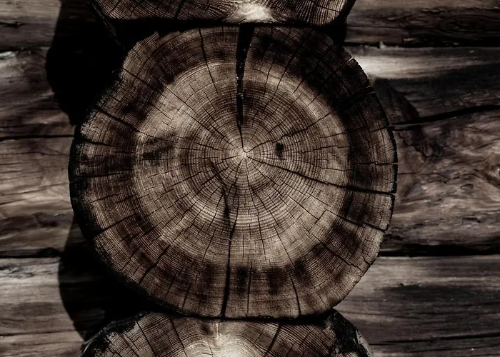 Levin Alppitalot Alpine Deluxe Lägenhet *