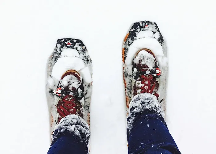 Levin Alppitalot Alpine Deluxe