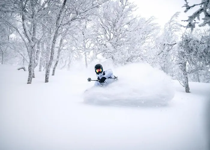 Levin Alppitalot Alpine Deluxe * Levi